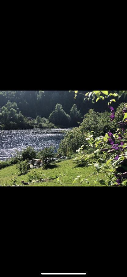 Glamping On Idyllic Lake, Paddle Boards & Rowboat Porsgrunn Exteriör bild