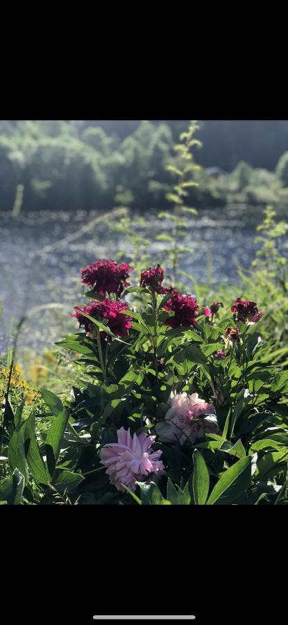 Glamping On Idyllic Lake, Paddle Boards & Rowboat Porsgrunn Exteriör bild