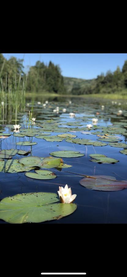 Glamping On Idyllic Lake, Paddle Boards & Rowboat Porsgrunn Exteriör bild
