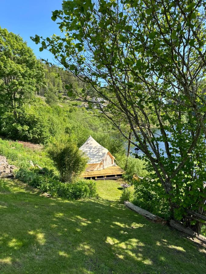 Glamping On Idyllic Lake, Paddle Boards & Rowboat Porsgrunn Exteriör bild